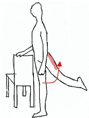 股関節の運動（裏腿）